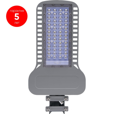 Уличный светодиодный светильник FERON  100W 5000K  AC230V/ 50Hz цвет серый (IP65), SP3050