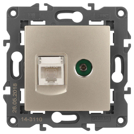 14-3110-04 ЭРА Розетка RJ45+TV, IP20, шампань (10/100/3200)